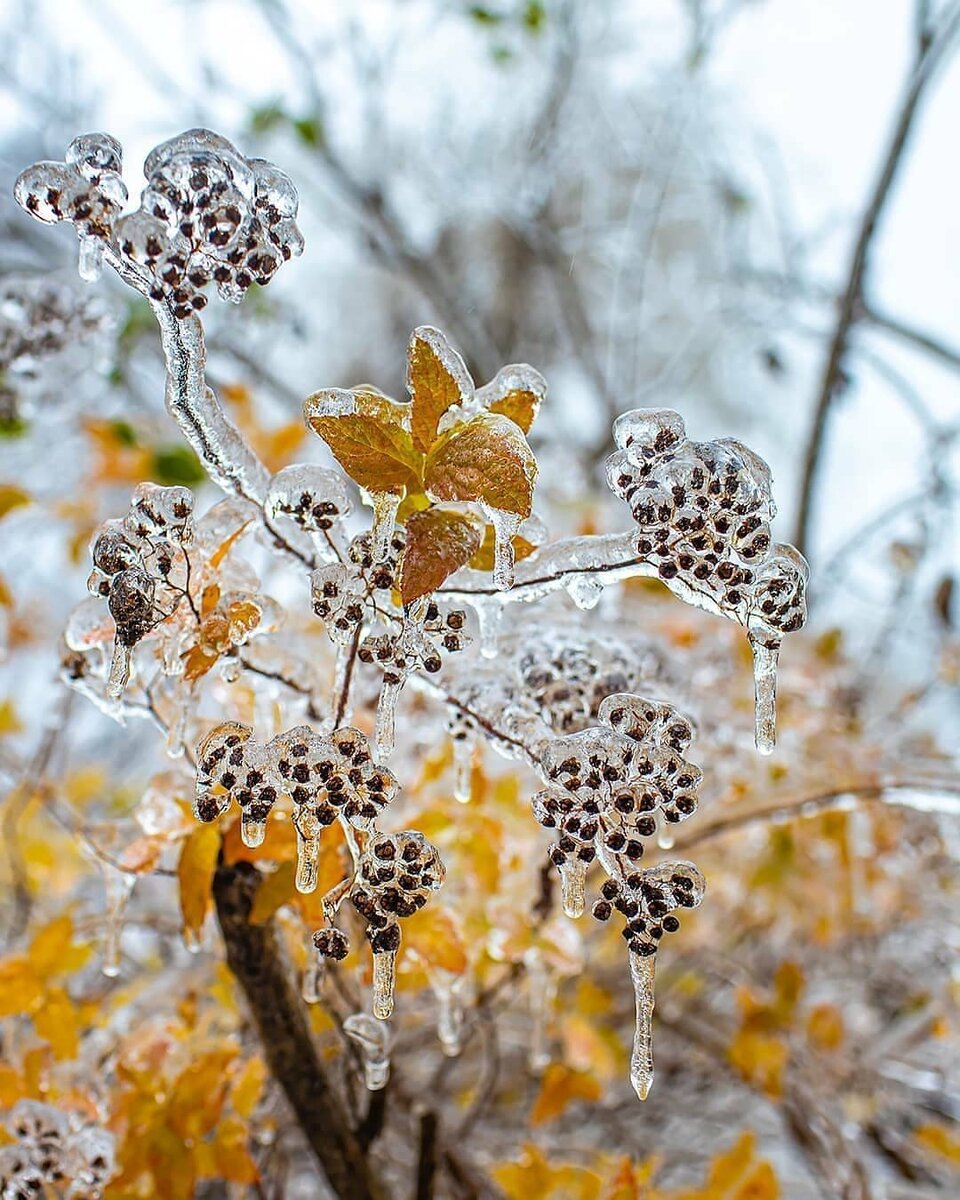 Прямое включение с улиц Владивостока?️✨❄️На стоящая хрустальная сказка.?