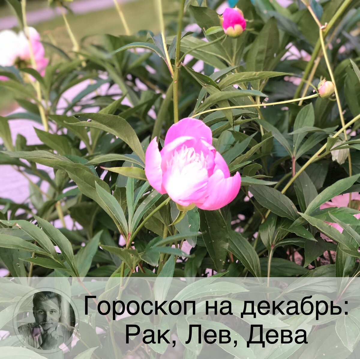 Подписывайтесь на наш канал, друзья!
Прогноз на декабрь для остальных знаков ждите в следующих постах. На сайте можно посмотреть нумерологический прогноз по дате рождения на 2020 г. и тайну своего имени. В личном кабинете, зарегистрировавшись по ссылке в описании профиля, или забив в поисковике "астролог Олег Персидский" 👩🏼‍💻

🦀 Рак
❤️ Одиноких представителей знака ждет много романтических приключений, но серозных отношений придется еще подождать. Возможен служебный роман. В семье Раков ждет гармония.
💶 На работе у вас будет достаточно времени, чтобы закончить все мелкие задачи, накопившиеся за долгое время. Конец месяца принесет хорошие результаты, если вы будете достаточно трудолюбивы.
🤒 Ракам рекомендуется обратить внимание на состояние своего здоровья и заняться профилактикой заболеваний. Постарайтесь избегать стрессовых ситуаций.

🦁 Лев
❤️ Декабрь будет довольно приятным месяцем, когда развлечение и отдых будет превалировать над работой. Соотвественно, есть все шансы наладить свою личную жизнь.
💶 Львам будут особенно удаваться завязывание знакомств, поэтому воспользуйтесь возможностью установить новые деловые контакты. Месяц будет довольно затратным, но в конце ожидается неожиданные денежные поступления.
🤒 Проблем со здоровьем не ожидается.

💃🏻 Дева
❤️ В этом месяце семейные хлопоты могут потеснить по значимости работу. Постарайтесь держать баланс. У одиноких Дев будет достаточно романтических приключений, но навряд ли они выльются в серьезные отношения.
💶 Будьте аккуратны при заполнении финансовых документов. По работе не бойтесь внедрять новые идеи и искать новых клиентов. Возможно совместное дело с родными. В финансах может быть недолгий спад.
🤒 Не стоит заниматься экстремальными видами спорта.