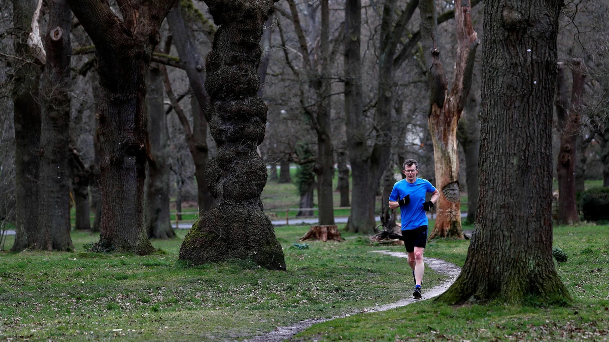 Может попробовать...