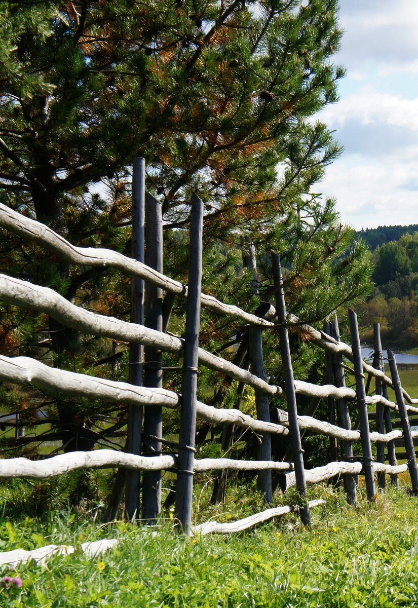 Старинные изгороди на Русском Севере. Они такие разные, оказывается! |  Колесим по Северу | Дзен