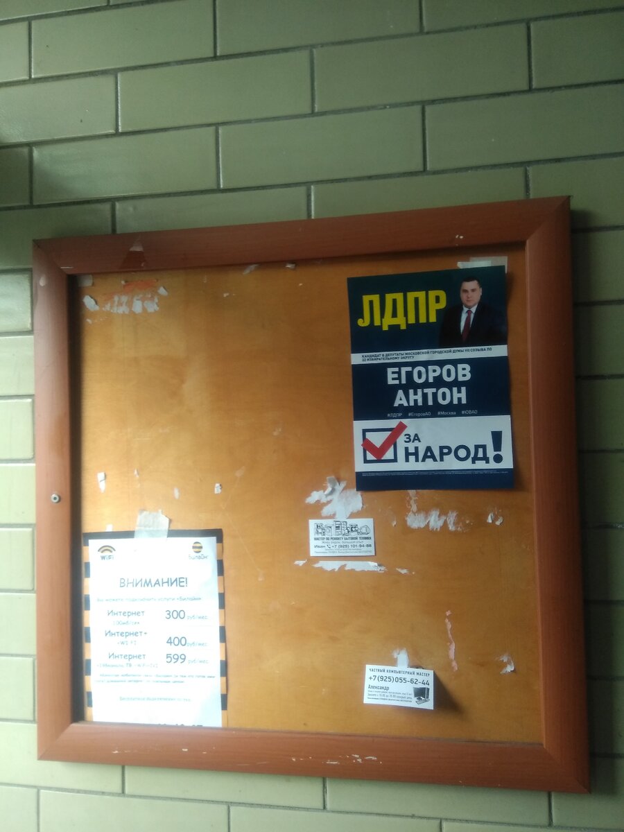 Агитационные материалы  DEAO.ru  Егоров Антон Олегович 2019 год