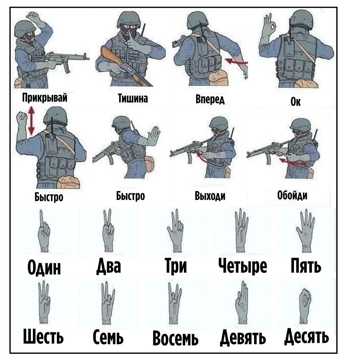Язык жестов у спец. отпядов