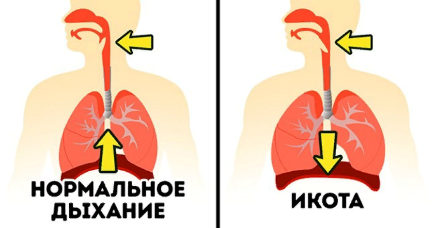 Часто икаю форум. Отчего икота. Почему человек икает. От чего возникает икание. Человек икает причины.