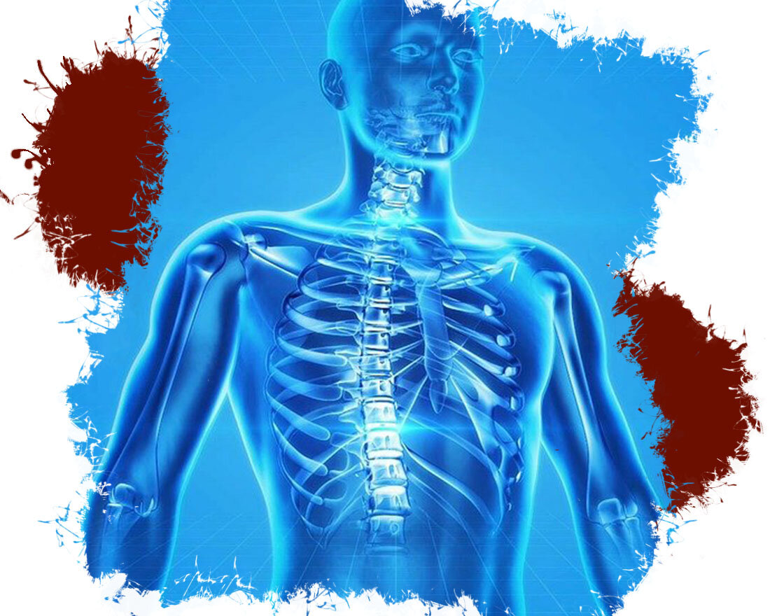 1. Image by PublicDomainPictures from Pixabay 