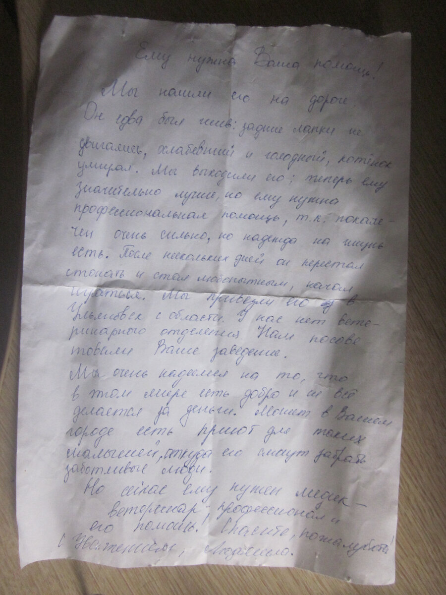 Хотелось бы,конечно,поблагодарить тех людей,которые первоначально нашли её(а не проехали мимо)...на дороге...