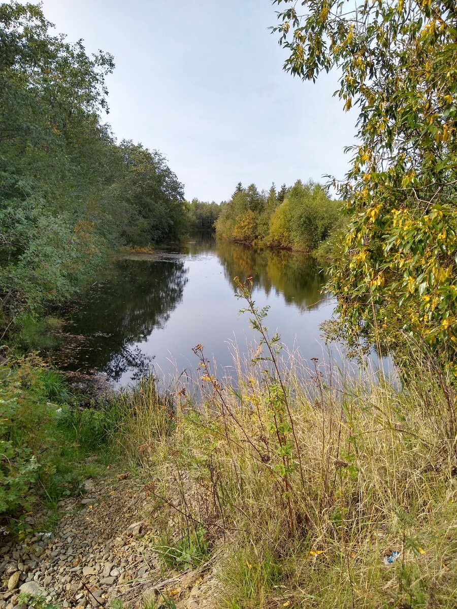 Нашли место рядом с речкой. Фото автора.