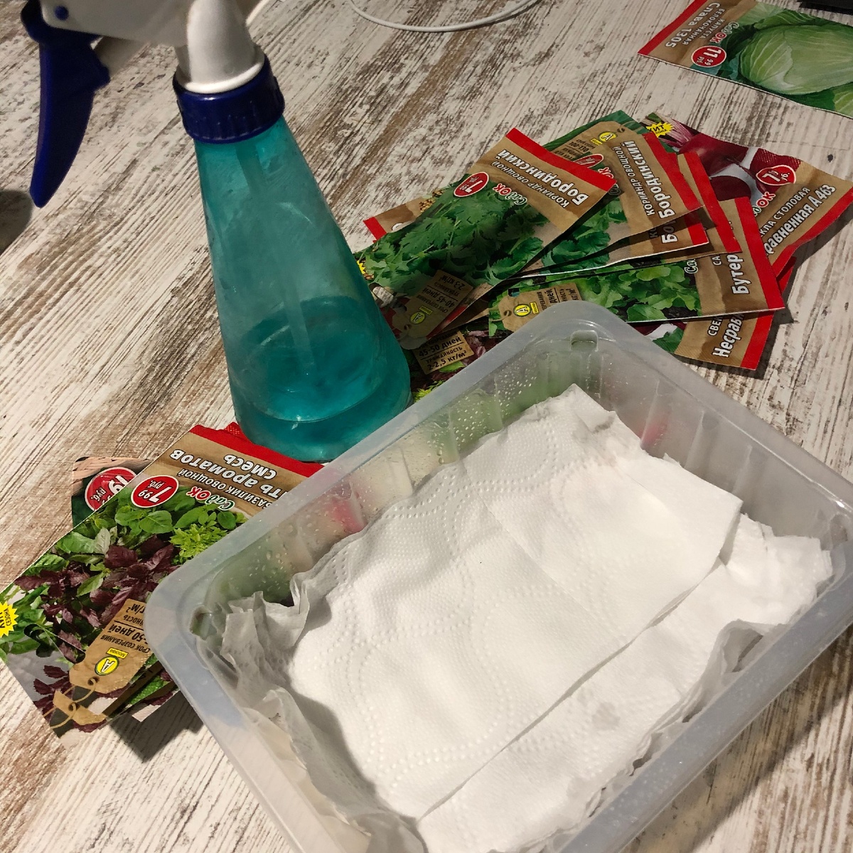 в пластиковом контейнере и на туалетной бумаге