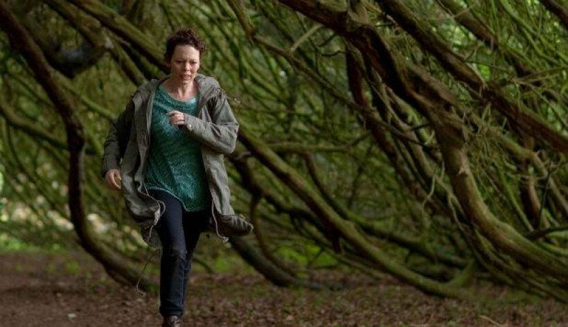 «Тринадцатая сказка», обернувшаяся мраком криминальной готики | НУАР ...