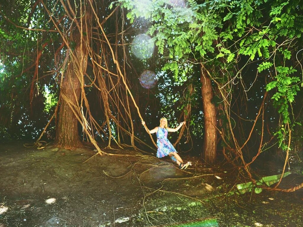 Лианы, в лесу возле пляжа, легко заменяют качели