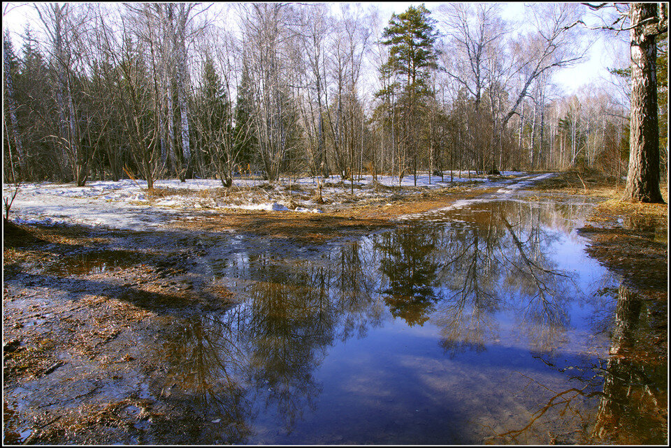 Первая половина апреля в средней полосе России - время генеральной уборки. Угроза сильных морозов становится минимальной и можно освобождать растения от зимних укрытий.