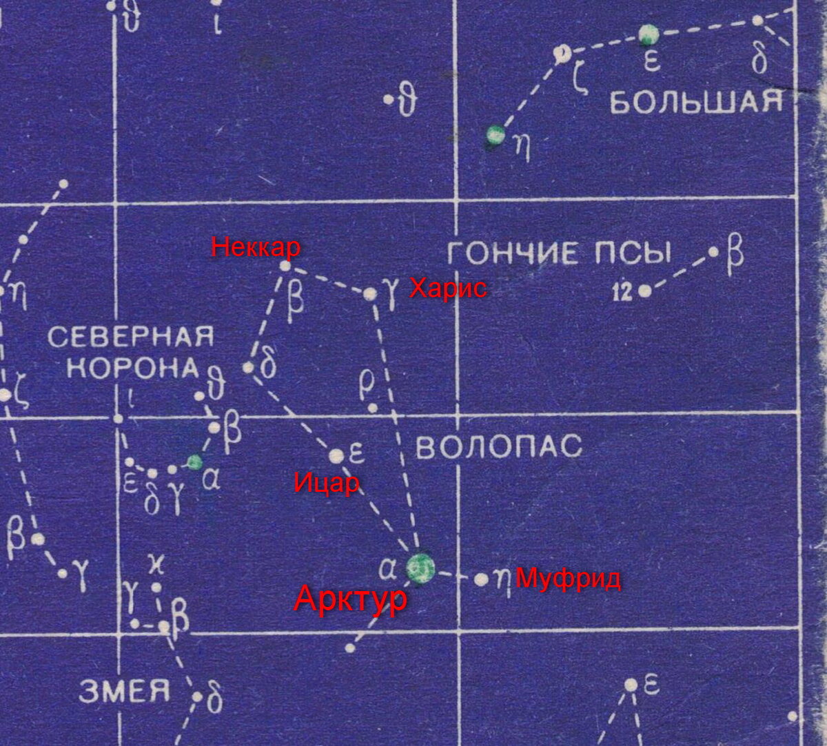 Созвездие с арктуром 7 букв
