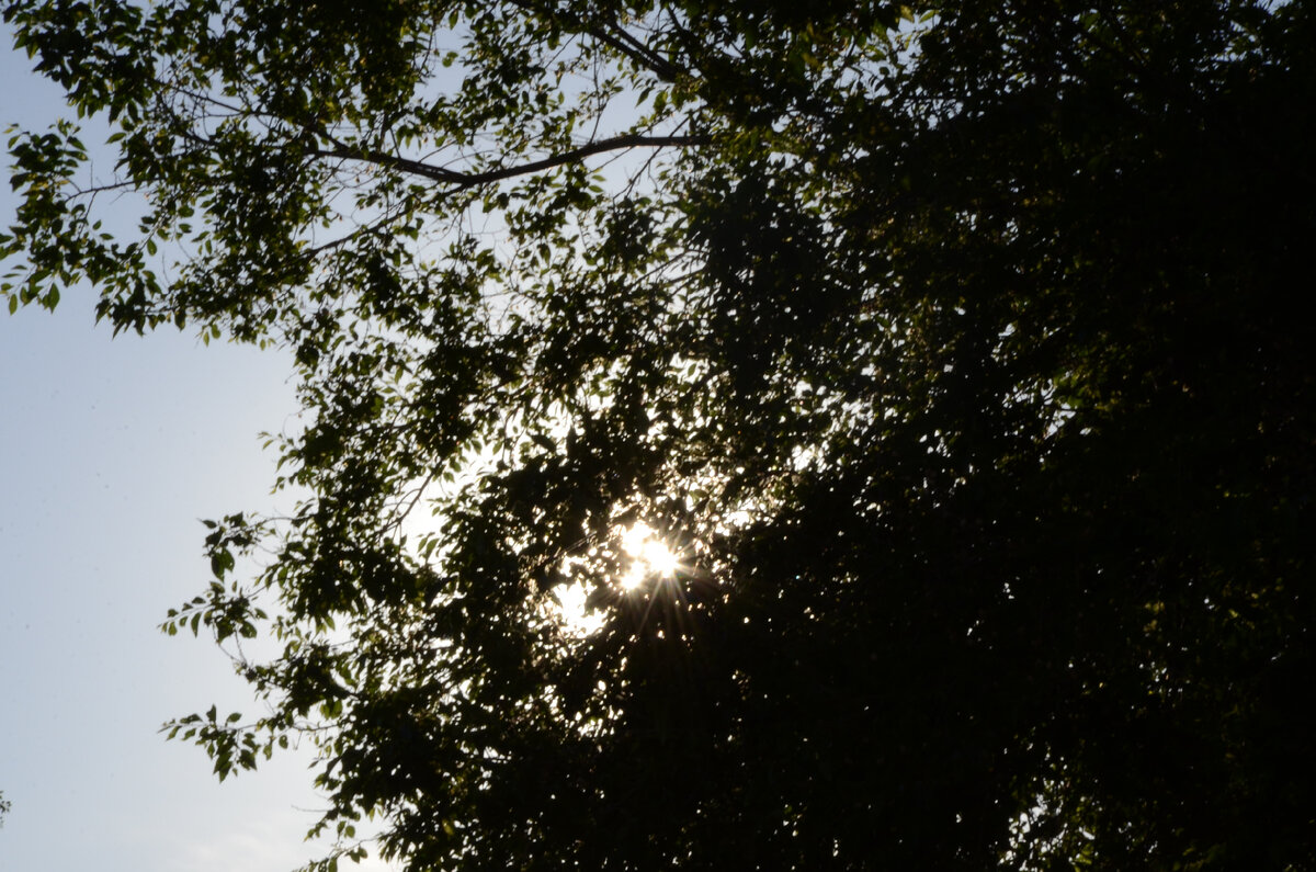 Фото из личного архива автора