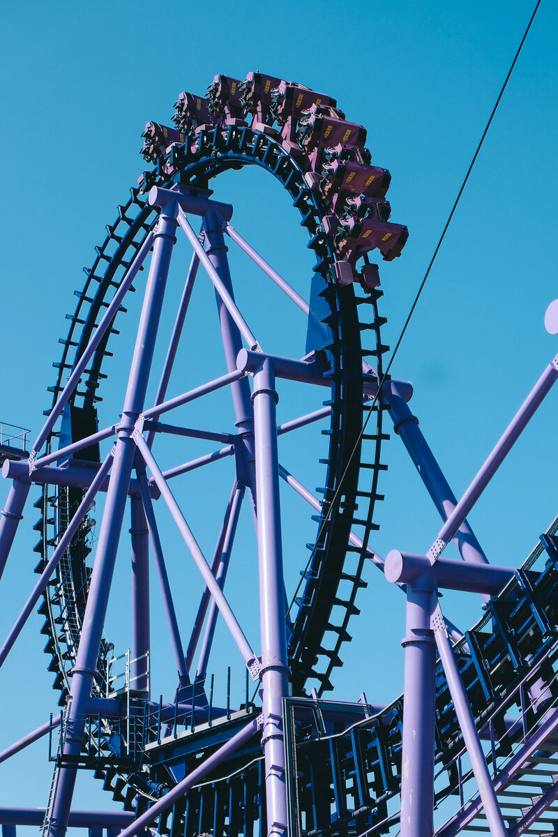 Фиолетовое сердце Сочи Парка