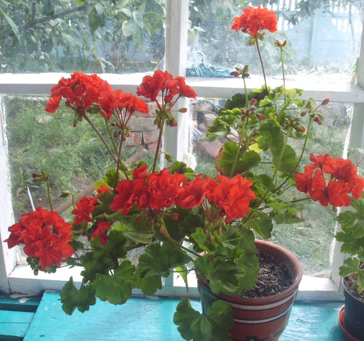 https://photo.7ya.ru/ph/2007/7/25/1185337277007.jpg