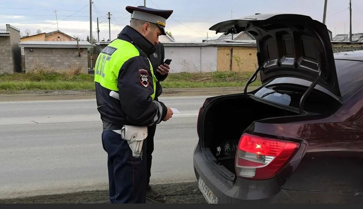 Осматривает багажник