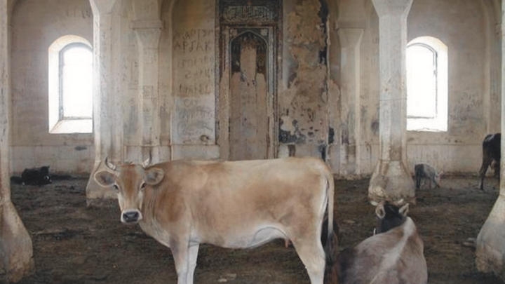 Это скотина в мечети