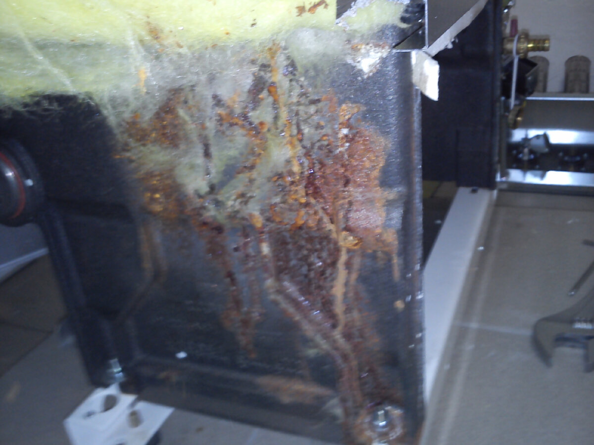 Фото из личного архива