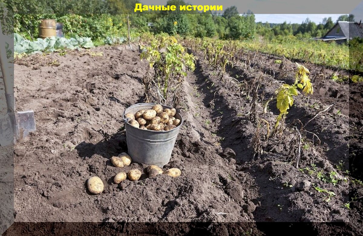 https://vk.com/photo-159774511_457249254