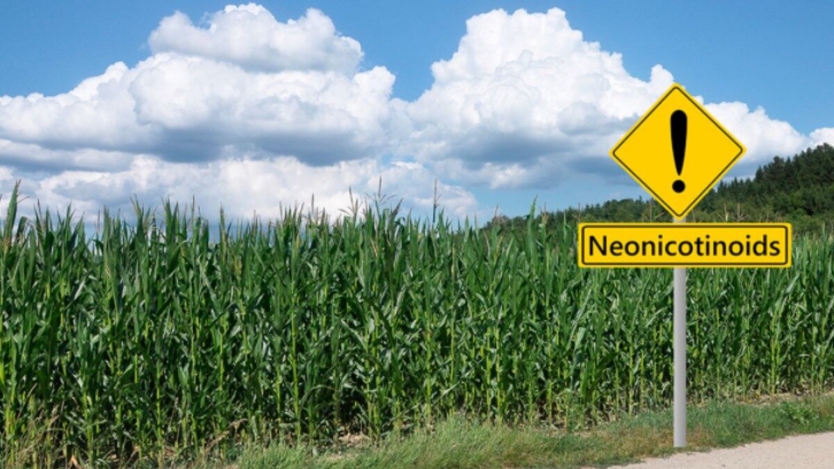 Фото:depositphotos.com В США ограничат использование неоникотиноидов.