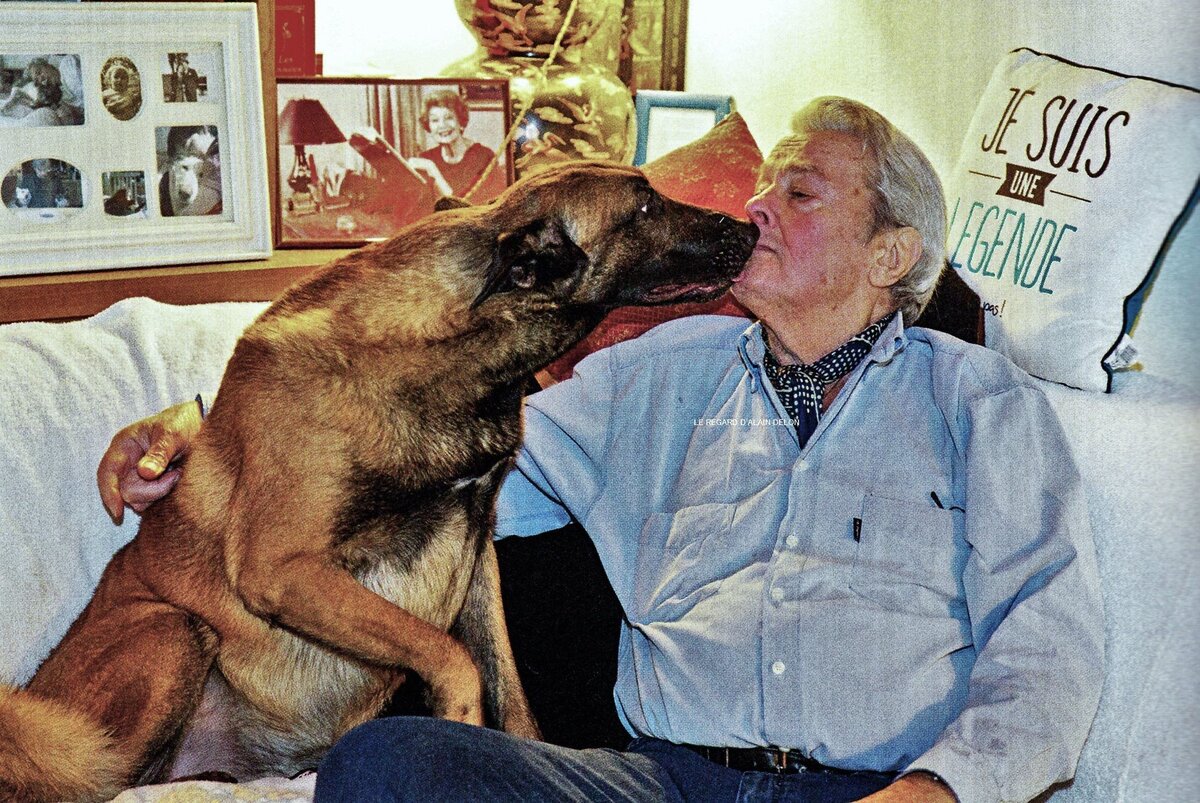 Ален Делон со своей собакой