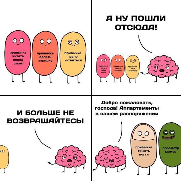 Наш мозг - как наркоман, следует самим выбирать от чего он будет в зависимости.