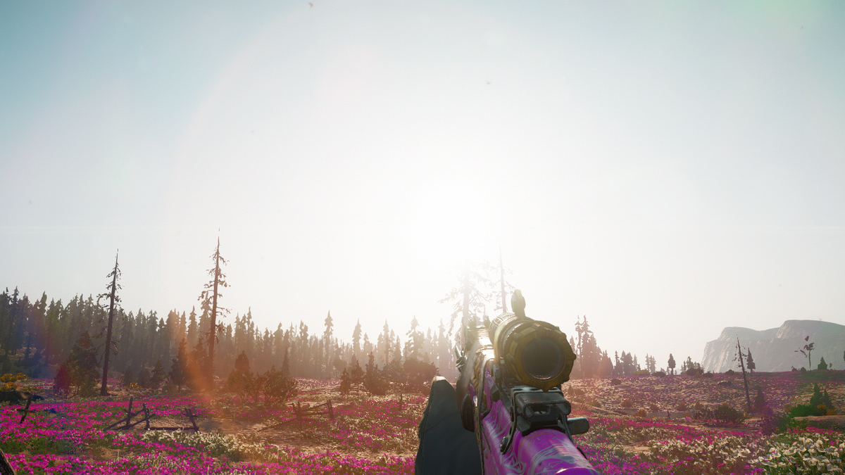 немного открытого мира и солнышка.