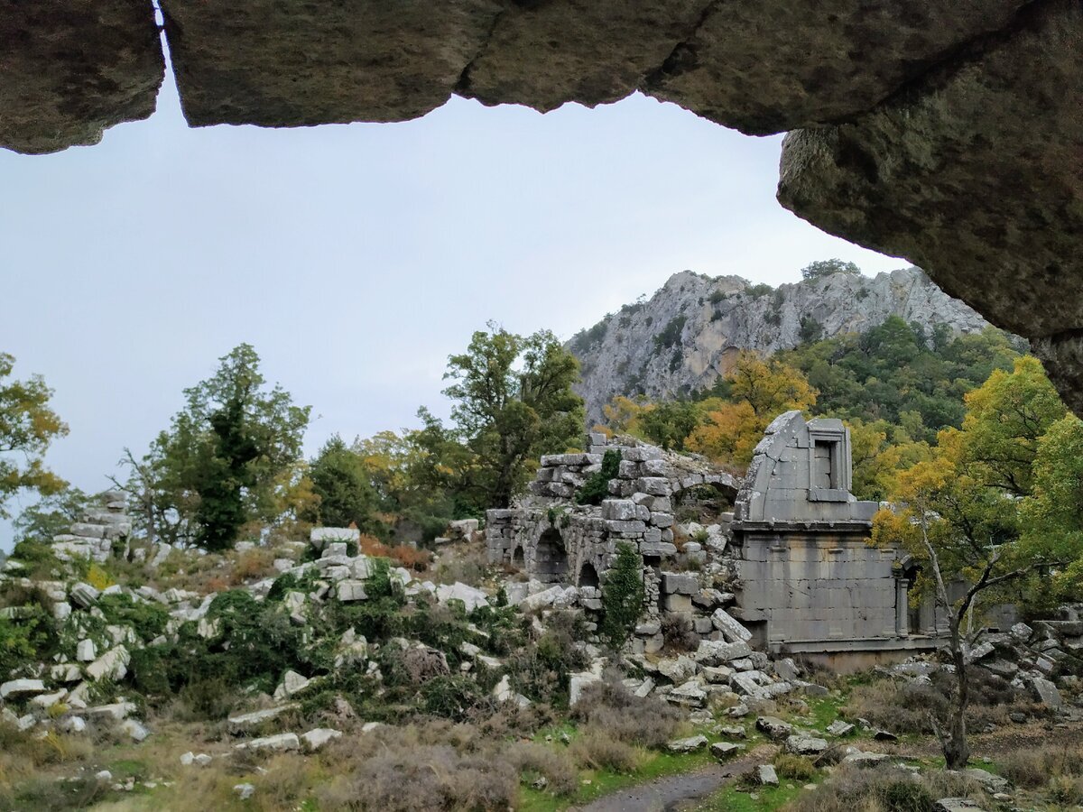 Добавьте описание