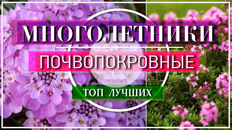 Полное видео на эту тему смотрите в конце статьи