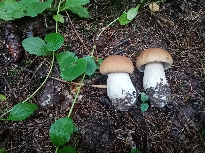 Фото Евгения Баюрина