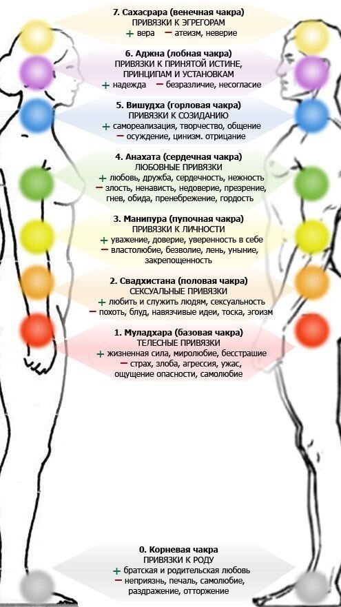 Связать и насладиться: шибари как эротическое искусство - massage-couples.ru