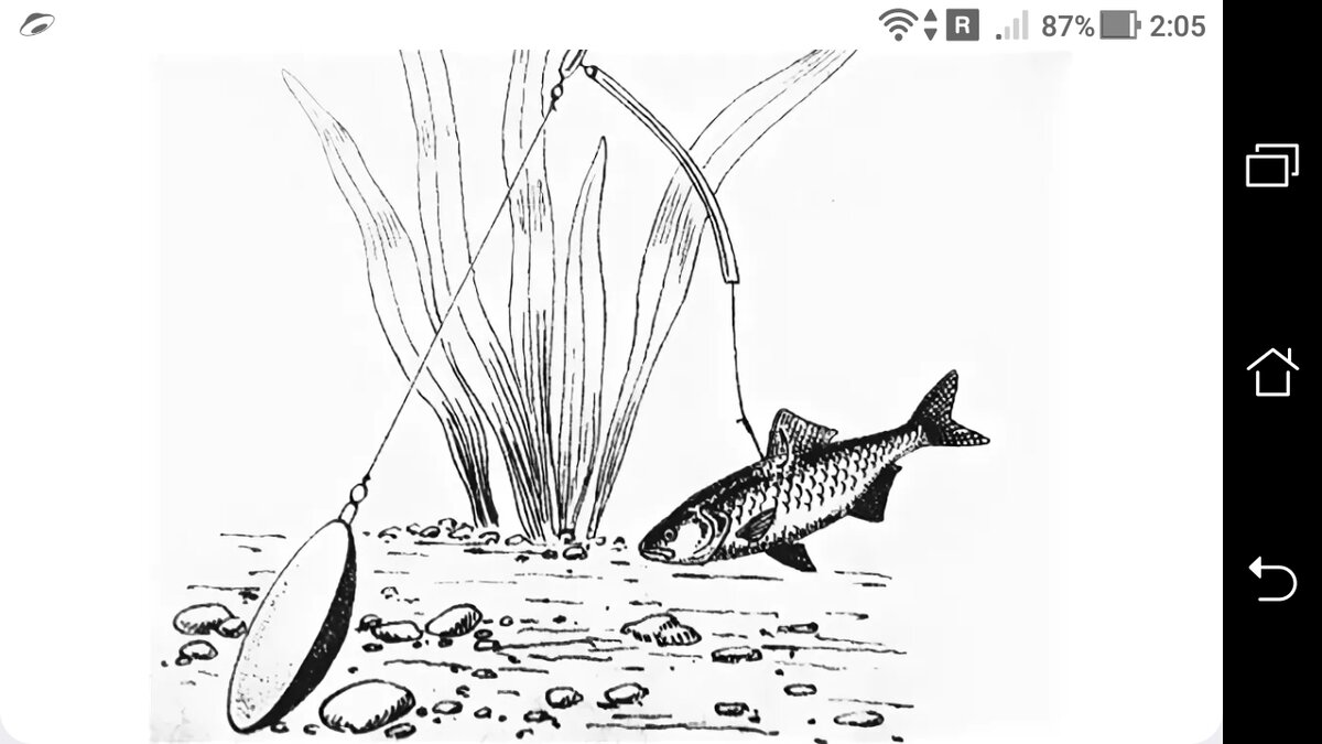 Поплавочная оснастка на щуку на живца. Поплавочная живцовая снасть на щуку. Монтаж на щуку на живца с поплавком. Ловля щуки на поплавок на живца оснастка. Ловля щуки на живца летом с берега.