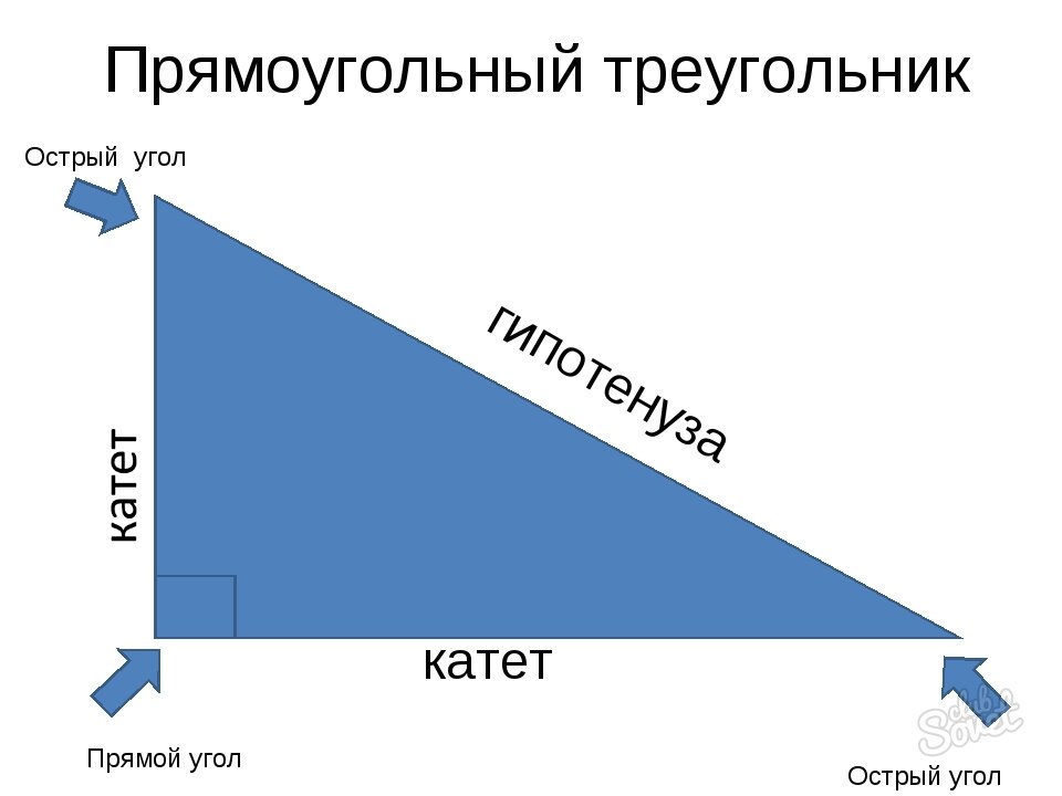 Гипотенуза и катет картинки