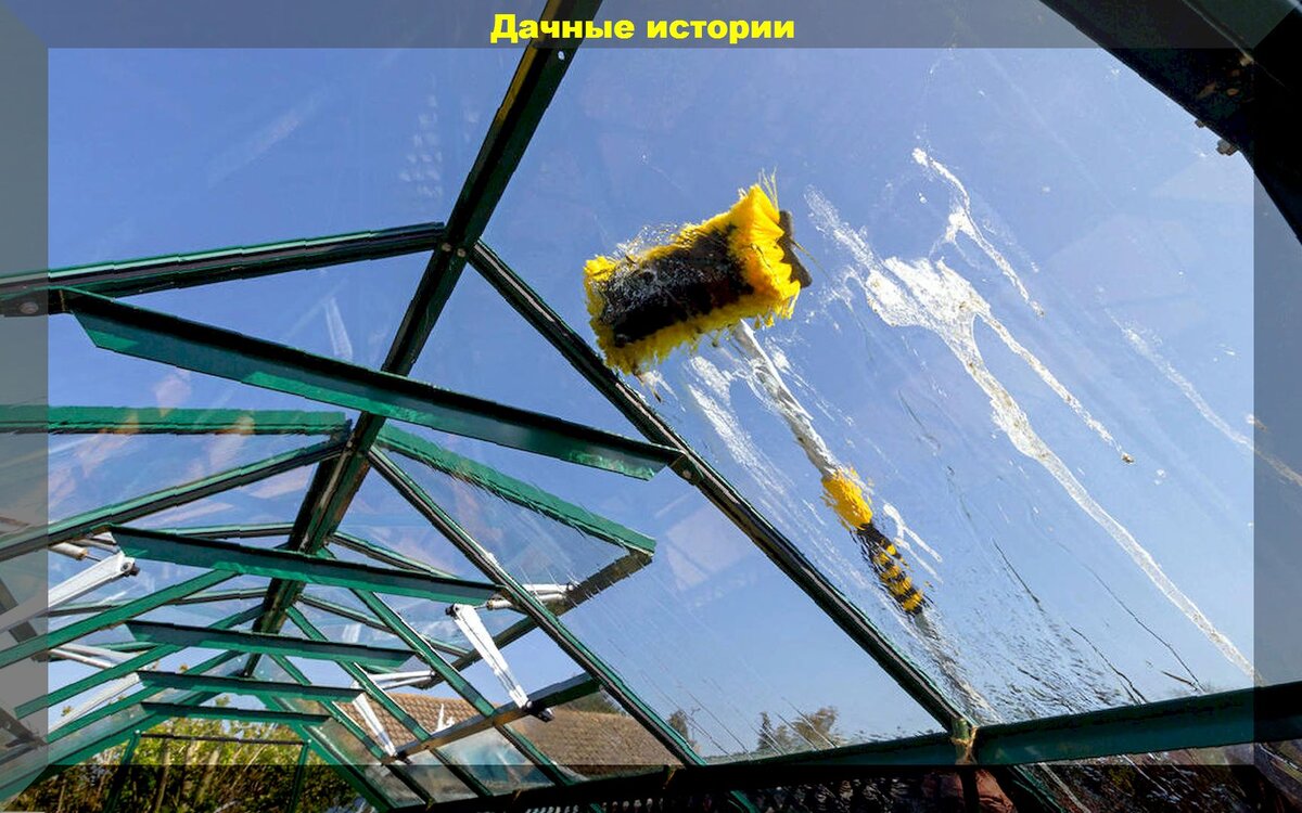 https://vk.com/photo-159774511_457252066