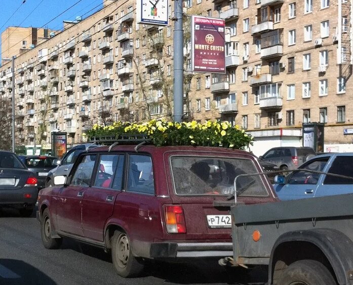 с рассадой в пробке