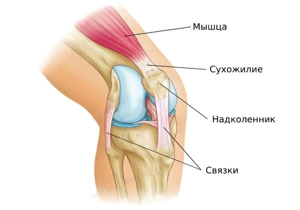 Почему хрустят суставы