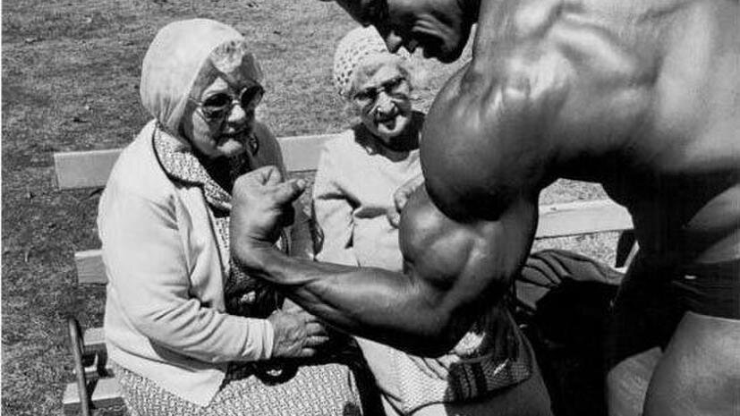 Видали мы и здоровее... :-)                                      (изображение из открытых источников)