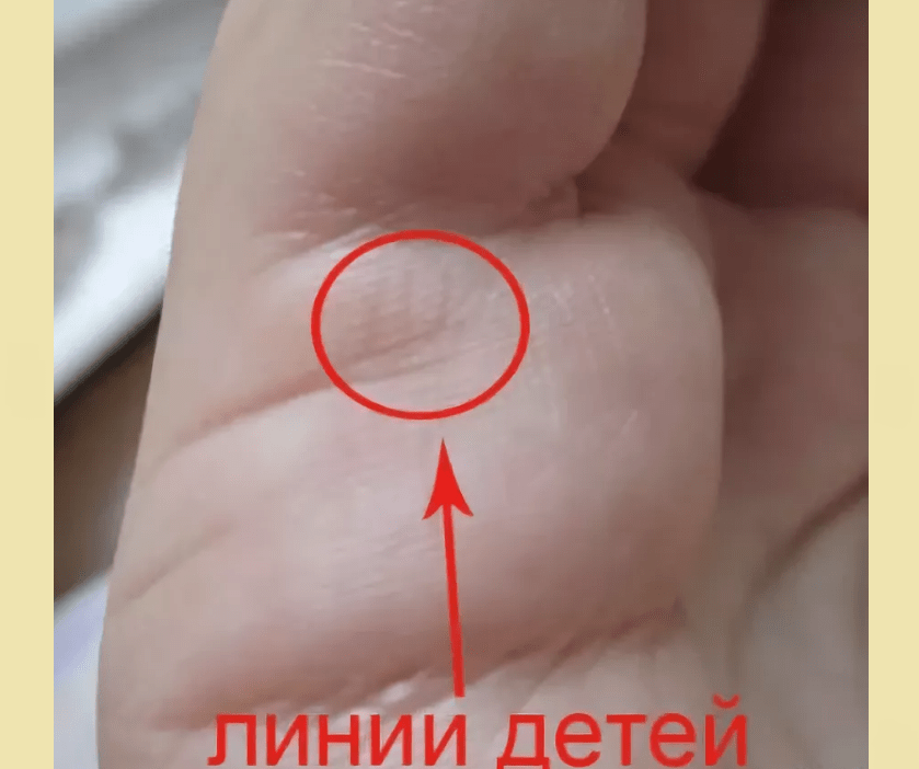 Вертикальные линии  под мизинцем на линии брака - линии детей