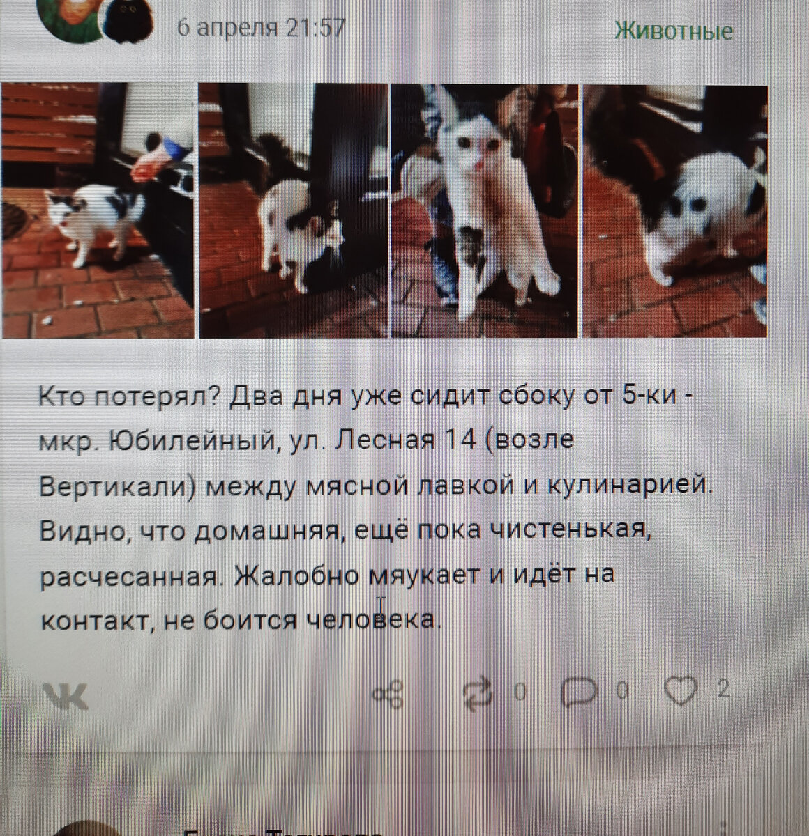 Вот этот пост