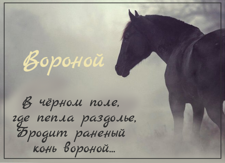 Конь ворон песня текст. Черный ворон стих. Вороной конь с собакой рядом. Да конь твой вороной любимый мой. Кони, Раздолье в пути стих.