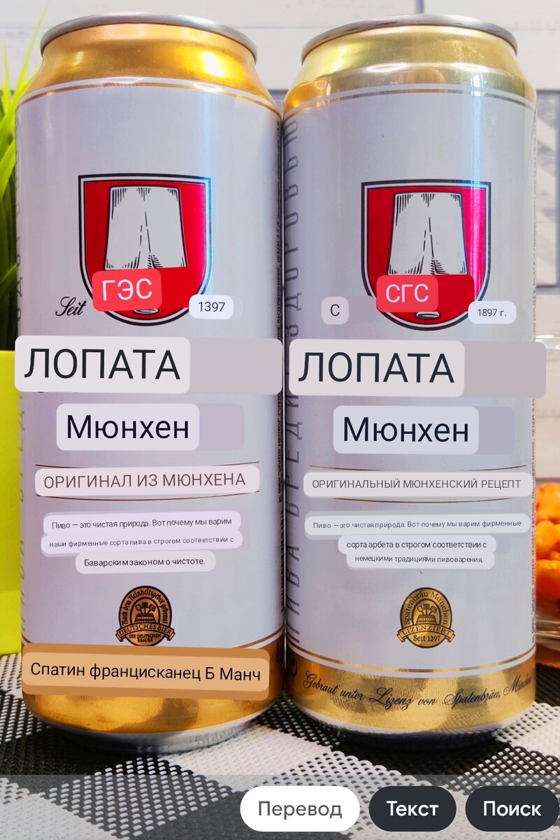 Гугл-переводчик)