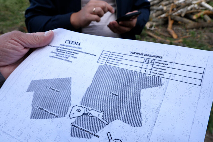 По данным публичной кадастровой карты, вырубку ведут на участке, который относится к землям лесного фонда