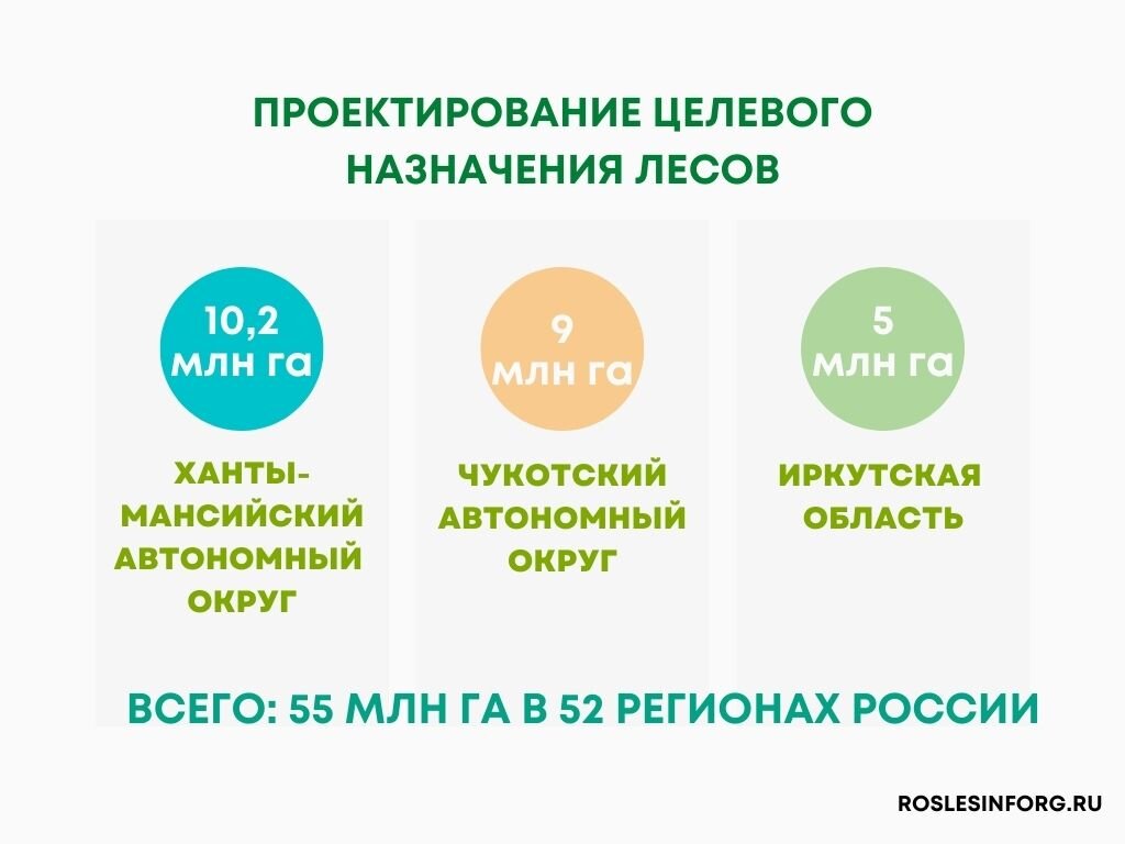 Проектирование целевого назначения лесов