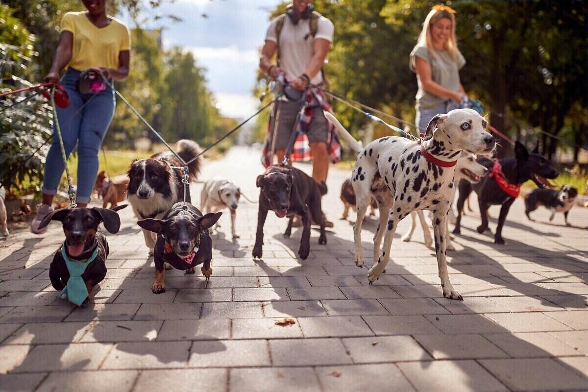 Фото с сайта lawnstarter.com.