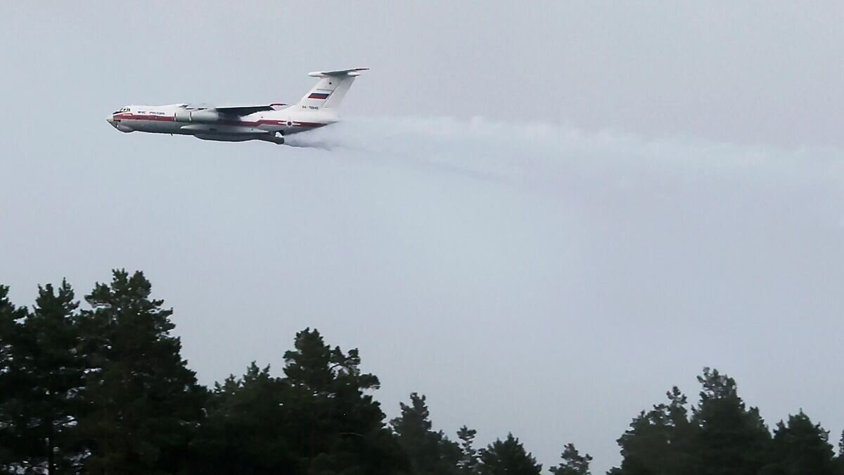    Самолет Ил-76ТД противопожарной службы МЧС РФ во время тушения природного пожара в Рязанской области© РИА Новости / Виталий Белоусов