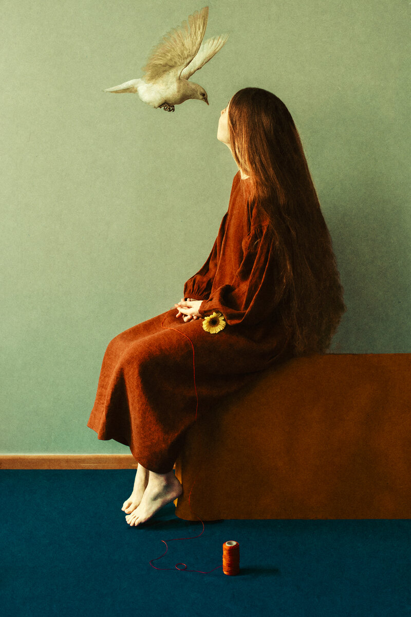 Life in photographs.  Laura Macabrescu.