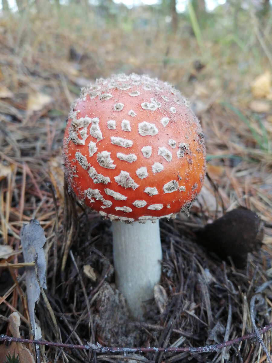 Моё личное фото