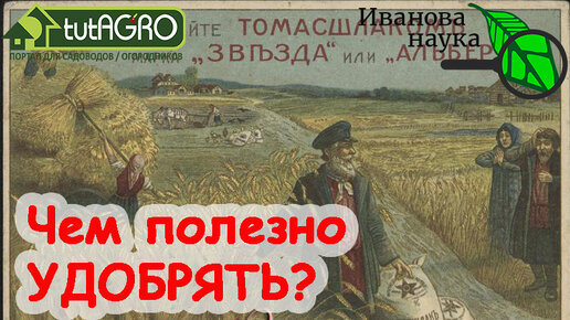 КАКИЕ УДОБРЕНИЯ ЛУЧШЕ? Безопасные, эффективные и даже БЕСПЛАТНЫЕ. Самые БЕЗОПАСНЫЕ удобрения вас!