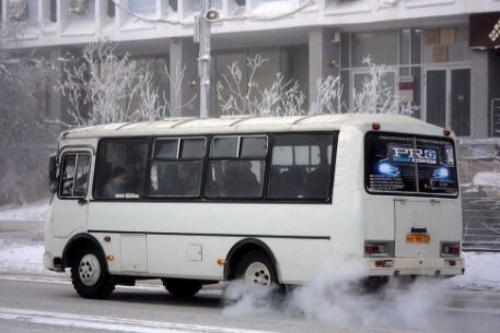 Фото из открытого источника