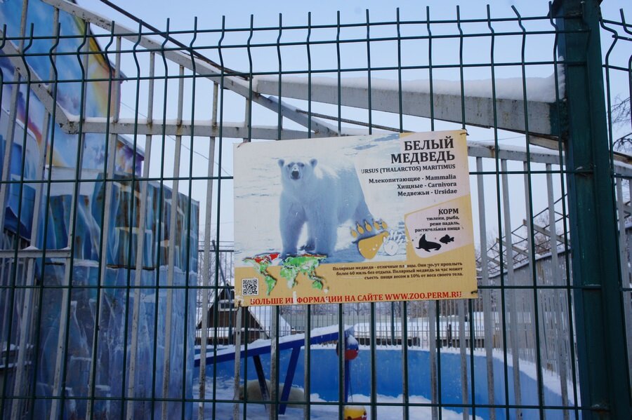 Зоопарк пермь время работы. Зоопарк пермь время работы. Зоопарк пермь время работы. Анкета в пермский зоопарк. Зоопарк пермь время работы.
