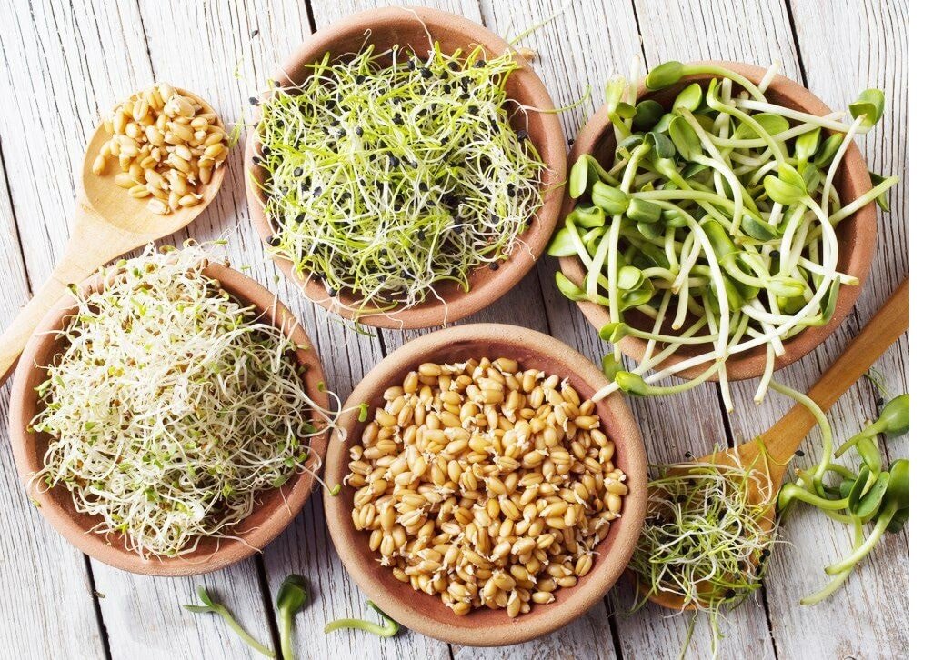 Витаминный проростки на обеденный стол. 